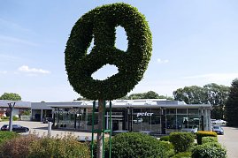 Mercedes-Benz-Niederlassung in Duderstadt, modernes Autohaus mit großer Glasfassade und „Peter“-Schriftzug, davor ein großer Strauch in Form des Mercedes-Sterns, gepflegte Grünanlagen und mehrere geparkte Fahrzeuge sichtbar. (Foto: Fischer/Autohaus Peter)