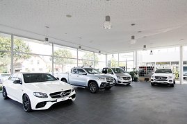 Innenansicht eines hellen Mercedes-Benz Autohauses mit großen Fensterfronten; im Showroom stehen mehrere neue Fahrzeuge, darunter weiße und silberne Mercedes-Modelle (Limousinen, Pick-up und Van) auf dunklem Fliesenboden. (Foto: Fischer/Autohaus Peter)