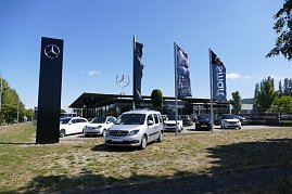 Mercedes-Benz Autohaus in Northeim mit großen Glasfronten, mehreren ausgestellten Fahrzeugen vorne, darunter weiße Transporter und Smart-Modelle. Im Vordergrund hohe Mercedes-Flaggen und ein schwarzer Mercedes-Stern-Pylon. Dahinter der große Mercedes-Stern auf dem Dach und eine grüne Heckenskulptur in Sternform. Blauer Himmel, sonniges Wetter. (Foto: Fischer/Autohaus Peter)