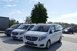 Mehrere weiße Junge Sterne (Gebrauchtwagen) Mercedes-Vans in einer Reihe auf einem gepflasterten Autohaus-Gelände bei blauem Himmel. (Foto: Fischer/Autohaus Peter)