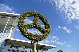 Detailaufnahme eines Baums, der in Form des Mercedes-Stern-Logos gestutzt ist, vor blauem Himmel mit weißen Wolken. (Foto: Fischer/Autohaus Peter)