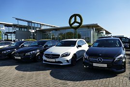 Mercedes-Benz Autohaus mit moderner Glasfassade, davor mehrere schwarze und ein weißer Vorführwagen, zentral ein Baum kunstvoll in Form des Mercedes-Stern-Logos gestutzt (Foto: Fischer/Autohaus Peter)