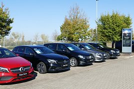 Reihe von Mercedes-Benz Gebrauchtwagen mit Junge Sterne-Schildern auf dem Autohaus-Gelände, im Vordergrund ein rotes Modell, dahinter schwarze und graue Fahrzeuge, umrahmt von grünen Bäumen und blauem Himmel. (Foto: Fischer/Autohaus Peter)