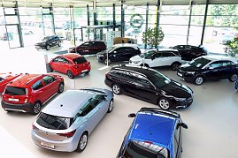 Innenansicht des modernen Opel-Autohauses Peter in Nordhausen. Zu sehen ist eine große, helle Ausstellungshalle mit vielen Neuwagen in verschiedenen Farben und Modellen, darunter rote, schwarze, weiße und blaue Fahrzeuge. Die Halle hat eine Glasfassade mit viel Tageslicht, einige grüne Pflanzen und einen Empfangsbereich im Hintergrund. (Foto: Fischer/Autohaus Peter)