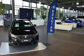 Peugeot-Autohaus-Showroom mit einem schwarzen Peugeot 308 im Vordergrund, blauer Peugeot-Fahne daneben, mehreren weiteren Fahrzeugen und einer modernen Wartebereich-Lounge im Hintergrund. (Foto: Fischer/Autohaus Peter)