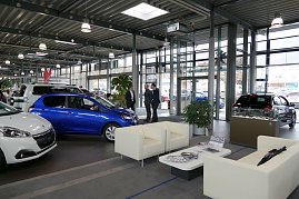 Heller, moderner Showroom eines Autohauses mit mehreren Peugeot-Fahrzeugen, unter anderem einem blauen Kleinwagen. Im Vordergrund eine Warteecke mit weißen Sesseln und Couchtisch, im Hintergrund drei Männer im Gespräch. (Foto: Fischer/Autohaus Peter)