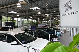 Innenansicht eines Peugeot-Autohauses mit mehreren ausgestellten Autos in einer hellen, modernen Halle. Links vorne ein weißes Fahrzeug, im Hintergrund weitere Autos in unterschiedlichen Farben, rechts ein Schild mit Peugeot-Logo. (Foto: Fischer/Autohaus Peter)