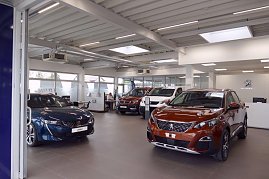 „Innenansicht eines hellen Peugeot-Autohauses mit mehreren ausgestellten Fahrzeugen, vorne ein brauner SUV und ein blauer Pkw, im Hintergrund ein Schreibtisch mit Mitarbeiter. (Foto: Fischer/Autohaus Peter)