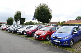 Reihe verschiedener Peugeot-Modelle in unterschiedlichen Farben auf dem Außengelände eines Autohauses, Bäume und Gebäude im Hintergrund. (Foto: Fischer/Autohaus Peter)