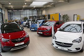 Innenansicht des Opel-Autohauses mit mehreren ausgestellten Fahrzeugen. Im Vordergrund ein roter und ein weißer Opel, dahinter weitere Modelle in verschiedenen Farben. Die Autos stehen in einem hellen, modernen Showroom mit großen Fenstern, Pflanzen und gelben Opel-Designelementen. Der Boden ist gefliest. (Foto: Fischer/Autohaus Peter)