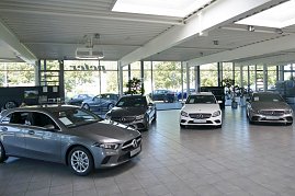 Innenansicht eines Mercedes-Benz-Autohauses mit hellen, großen Fenstern. Mehrere neue Mercedes-Modelle in Grau, Weiß und Schwarz stehen ausgestellt auf einem gefliesten Boden. Im Hintergrund sind Bäume und parkende Autos draußen zu sehen. (Foto: Fischer/Autohaus Peter)