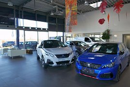 Innenansicht eines Peugeot-Autohauses mit mehreren ausgestellten Fahrzeugen, darunter ein weißer SUV und ein blauer Sportwagen. Moderne Einrichtung, Peugeot-Logo an der Wand und herbstliche Dekorationen an der Decke. (Foto: Fischer/Autohaus Peter)