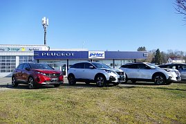 Autohaus mit blauem Peugeot-Schriftzug und Peter-Logo, davor drei Peugeot-SUVs (rot und zwei weiße) auf dem Rasen geparkt, bei klarem blauem Himmel. (Foto: Fischer/Autohaus Peter)