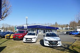 Peugeot-Autohaus mit blauem Schriftzug, davor mehrere farbige Peugeot-Fahrzeuge auf dem Hof bei sonnigem Wetter. (Foto: Fischer/Autohaus Peter)