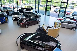 Großzügiger, heller Showroom des Opel-Autohauses mit großen Glasfronten. Mehrere Opel-Modelle in unterschiedlichen Farben sind ausgestellt. In der Mitte befindet sich ein moderner Empfangstresen mit Stühlen und Blumen. Draußen sind weitere Fahrzeuge und grüne Bäume sichtbar. (Foto: Fischer/Autohaus Peter)