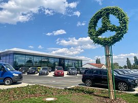 Mercedes-Benz Autohaus Peter in Wittenberg mit großer Glasfassade, davor verschiedene Mercedes-Fahrzeuge. Im Vordergrund ein Baum, kunstvoll in Form des Mercedes-Sterns gestutzt, blauer Himmel mit weißen Wolken. (Foto: Autohaus Peter)