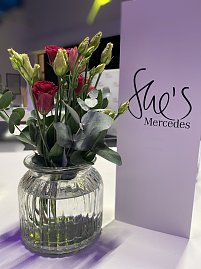 She's Mercedes Ladies Night