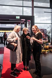 She's Mercedes Ladies NIght