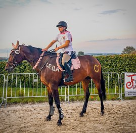 Reitturnier Immenrode