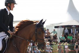Ein junger Reiter in schwarzer Turnierjacke und Helm sitzt auf einem braunen Pferd mit Fliegenohren. Im Hintergrund sitzen Zuschauer auf Bänken vor weißen Pagodenzelten und Sonnenschirmen. (Foto: Autohaus Peter)