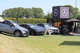 Drei Mercedes-Benz Fahrzeuge stehen auf einer grünen Wiese neben einem schwarzen Mercedes-Benz Cube. Vor dem Container befinden sich ein Sonnenschirm und ein kleiner Tisch mit Stühlen. Im Hintergrund sind Bäume und blauer Himmel zu sehen. (Foto: Autohaus Peter)