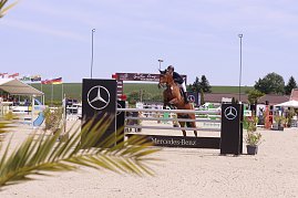 Ein Reiter springt mit einem braunen Pferd über ein Mercedes-Benz-Hindernis auf dem Sandplatz beim Reitturnier in Immenrode. Im Vordergrund sind Palmwedel, im Hintergrund der Begrüßungsbogen, Zuschauer und wehende Fahnen zu sehen. (Foto: Autohaus Peter)