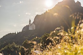 Die Sonne scheint durch die Abenddämmerung auf das märchenhafte Schloss Neuschwanstein, das hoch oben auf einem bewaldeten Berghang thront. Im Vordergrund sind unscharfe Gräser und Pflanzen zu sehen, im Hintergrund ragen dunkle Berge auf. Die Szene wirkt romantisch und verträumt. (Foto: AUTOHAUS)