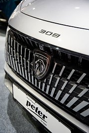 Detailaufnahme des Peugeot 308-Frontgrills.