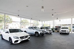 Innenansicht eines hellen Mercedes-Benz Autohauses mit gro&szlig;en Fensterfronten; im Showroom stehen mehrere neue Fahrzeuge, darunter wei&szlig;e und silberne Mercedes-Modelle (Limousinen, Pick-up und Van) auf dunklem Fliesenboden.