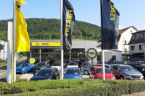 Au&szlig;enansicht des Opel-Autohauses in Sondershausen. Vor dem modernen Glasgeb&auml;ude wehen gelbe und schwarze Opel-Flaggen. Auf dem Parkplatz davor stehen zahlreiche Neu- und Gebrauchtwagen in verschiedenen Farben. Im Hintergrund ist ein gr&uuml;ner, bewaldeter H&uuml;gel zu sehen, der einen malerischen Kontrast zum Autohaus bildet.