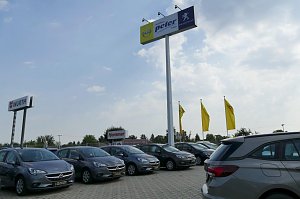 Autohaus-Außenbereich mit mehreren grauen Opel-Fahrzeugen in einer Reihe geparkt. Im Hintergrund ein hoher Mast mit einem Schild Autohaus Peter Gruppe und Peugeot-Logo sowie gelbe Fahnen mit Opel-Logo.