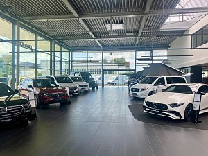 Innenansicht des Mercedes-Benz Autohauses mit gro&szlig;en Glasfronten, mehreren ausgestellten Fahrzeugen, darunter SUVs, Vans und ein wei&szlig;er AMG. Heller, moderner Showroom mit viel Tageslicht.