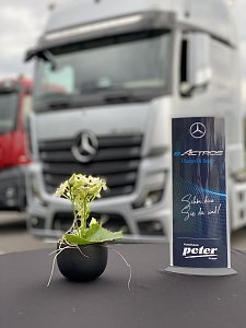 eActros Truck Expierence