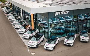 Mehrere wei&szlig;e Opel Grandland mit schwarzen D&auml;chern stehen in aufgereiht vor dem Autohaus Peter in Erfurt mit gro&szlig;er Glasfassade. Auf den Fahrzeugen sind auff&auml;llige Werbeaufkleber mit den Logos THC und Peter und weiteren Sponsoren zu sehen.